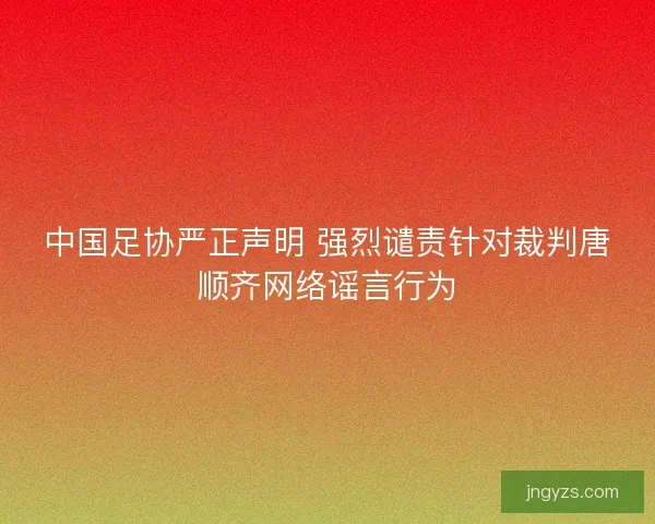 中国足协严正声明 强烈谴责针对裁判唐顺齐网络谣言行为